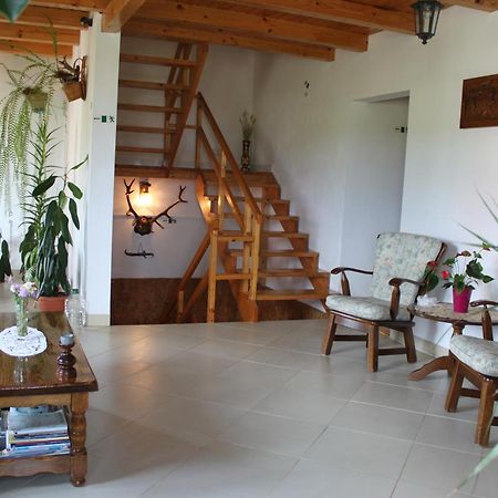 Casa Altius Felix Apartment Băile Felix Екстериор снимка