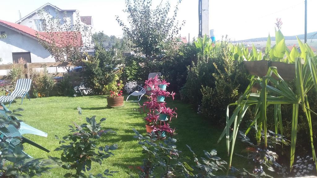 Casa Altius Felix Apartment Băile Felix Екстериор снимка