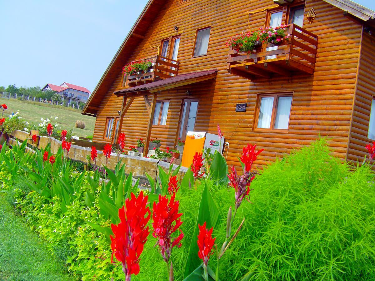 Casa Altius Felix Apartment Băile Felix Екстериор снимка